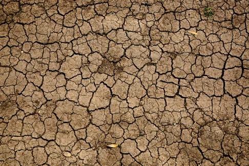 Desertification