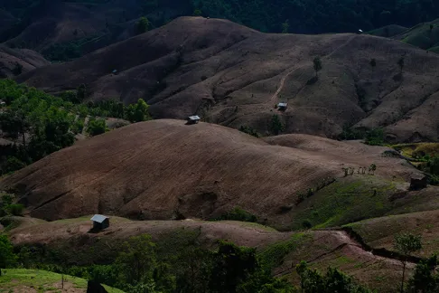 Deforestation