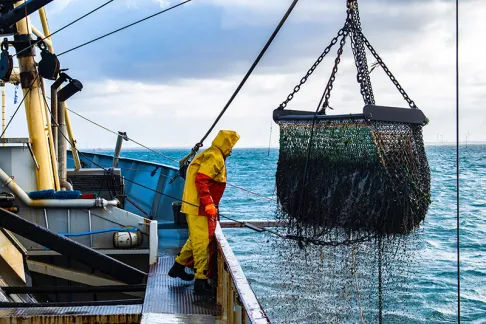Fishery and Aquaculture