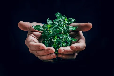 Agroecology