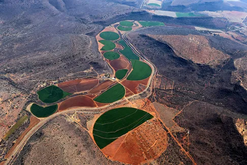 Water-Energy-Food Ecosystem