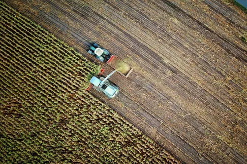 Land Use in Agriculture