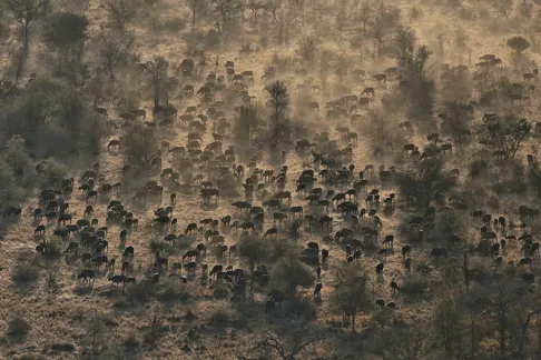 Protected and Conserved Areas &amp; Conservation Actions