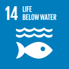 sdg icon
